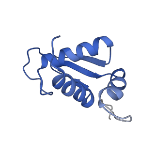 11457_6zvi_s_v1-0
Mbf1-ribosome complex