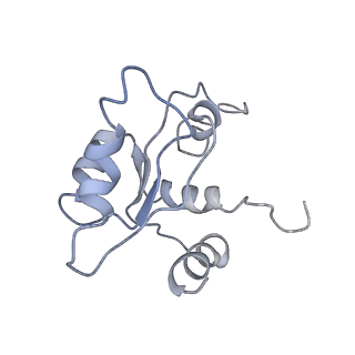 11457_6zvi_u_v1-0
Mbf1-ribosome complex