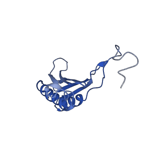 11457_6zvi_w_v1-0
Mbf1-ribosome complex