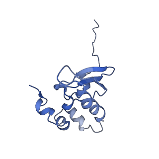 11457_6zvi_x_v1-0
Mbf1-ribosome complex