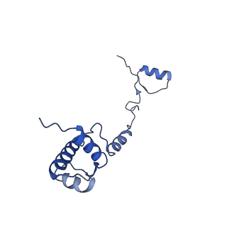 11457_6zvi_z_v1-0
Mbf1-ribosome complex