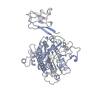 11458_6zvj_1_v1-2
Structure of a human ABCE1-bound 43S pre-initiation complex - State II