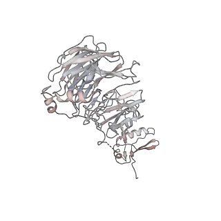 11458_6zvj_B_v1-2
Structure of a human ABCE1-bound 43S pre-initiation complex - State II