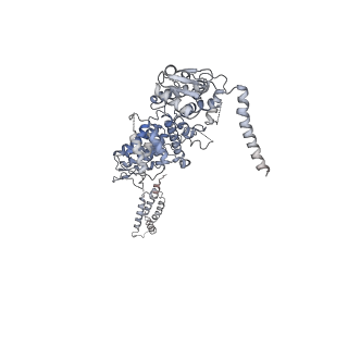 11458_6zvj_C_v1-2
Structure of a human ABCE1-bound 43S pre-initiation complex - State II