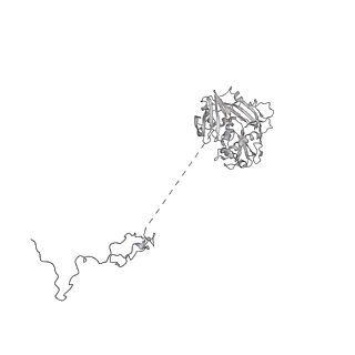 11458_6zvj_D_v1-2
Structure of a human ABCE1-bound 43S pre-initiation complex - State II