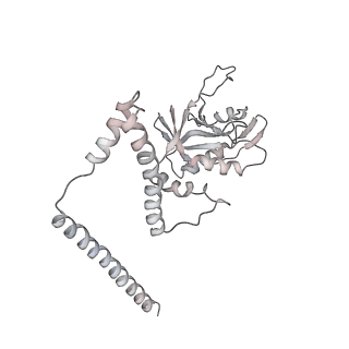 11458_6zvj_F_v1-2
Structure of a human ABCE1-bound 43S pre-initiation complex - State II