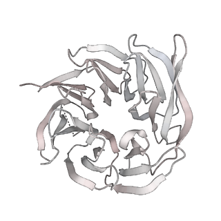 11458_6zvj_I_v1-2
Structure of a human ABCE1-bound 43S pre-initiation complex - State II