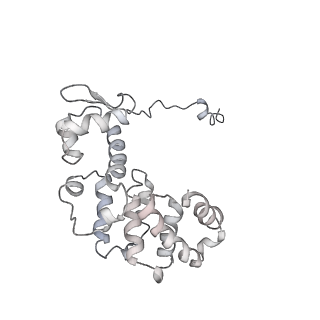 11458_6zvj_K_v1-2
Structure of a human ABCE1-bound 43S pre-initiation complex - State II
