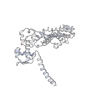 11458_6zvj_M_v1-2
Structure of a human ABCE1-bound 43S pre-initiation complex - State II