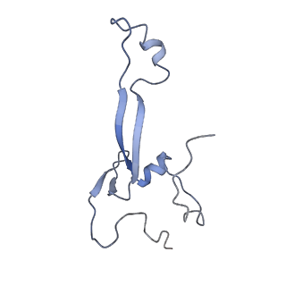11458_6zvj_Q_v1-2
Structure of a human ABCE1-bound 43S pre-initiation complex - State II