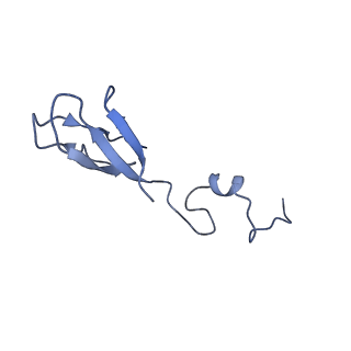11458_6zvj_R_v1-2
Structure of a human ABCE1-bound 43S pre-initiation complex - State II