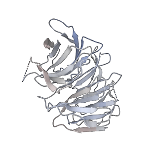 11458_6zvj_V_v1-2
Structure of a human ABCE1-bound 43S pre-initiation complex - State II