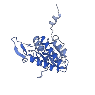 11458_6zvj_a_v1-2
Structure of a human ABCE1-bound 43S pre-initiation complex - State II