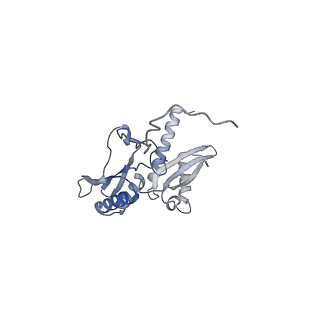 11458_6zvj_b_v1-2
Structure of a human ABCE1-bound 43S pre-initiation complex - State II