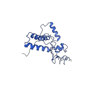 11458_6zvj_c_v1-2
Structure of a human ABCE1-bound 43S pre-initiation complex - State II