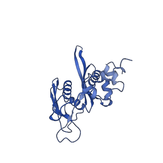 11458_6zvj_d_v1-2
Structure of a human ABCE1-bound 43S pre-initiation complex - State II