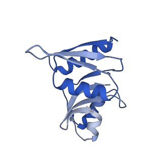 11458_6zvj_f_v1-2
Structure of a human ABCE1-bound 43S pre-initiation complex - State II