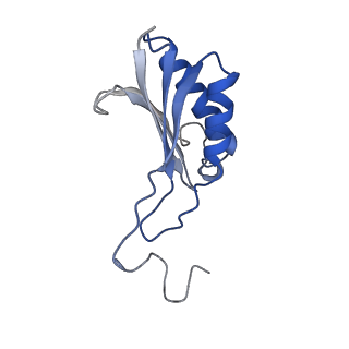 11458_6zvj_i_v1-2
Structure of a human ABCE1-bound 43S pre-initiation complex - State II