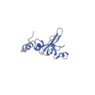 11458_6zvj_j_v1-2
Structure of a human ABCE1-bound 43S pre-initiation complex - State II