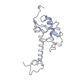 11458_6zvj_k_v1-2
Structure of a human ABCE1-bound 43S pre-initiation complex - State II