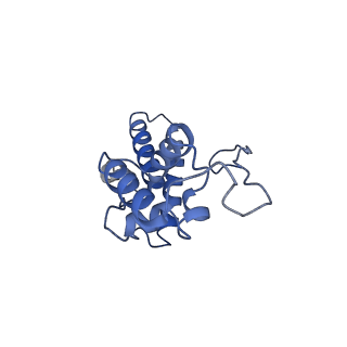 11458_6zvj_m_v1-2
Structure of a human ABCE1-bound 43S pre-initiation complex - State II