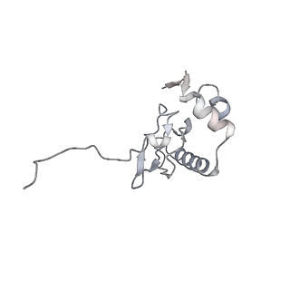 11458_6zvj_o_v1-2
Structure of a human ABCE1-bound 43S pre-initiation complex - State II