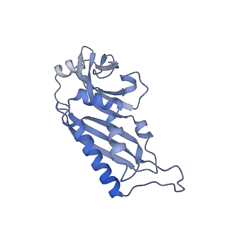 11458_6zvj_p_v1-2
Structure of a human ABCE1-bound 43S pre-initiation complex - State II