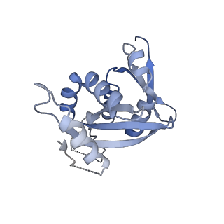 11458_6zvj_s_v1-2
Structure of a human ABCE1-bound 43S pre-initiation complex - State II