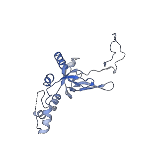 11458_6zvj_t_v1-2
Structure of a human ABCE1-bound 43S pre-initiation complex - State II