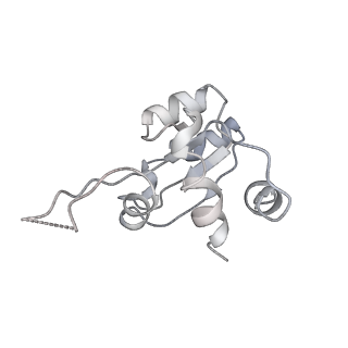 11458_6zvj_v_v1-2
Structure of a human ABCE1-bound 43S pre-initiation complex - State II