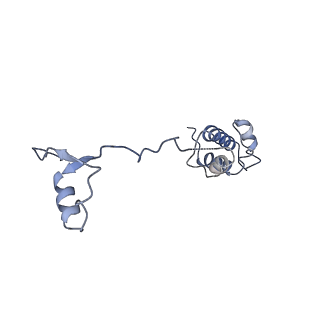 11458_6zvj_w_v1-2
Structure of a human ABCE1-bound 43S pre-initiation complex - State II