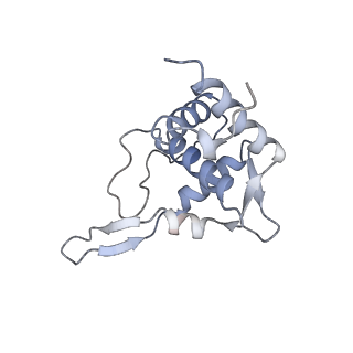 11458_6zvj_x_v1-2
Structure of a human ABCE1-bound 43S pre-initiation complex - State II