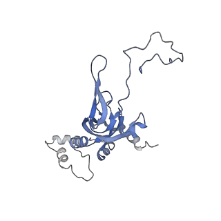 11459_6zvk_c3_v1-0
The Halastavi arva virus (HalV) intergenic region IRES promotes translation by the simplest possible initiation mechanism