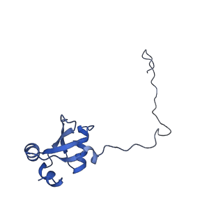 11459_6zvk_m2_v1-0
The Halastavi arva virus (HalV) intergenic region IRES promotes translation by the simplest possible initiation mechanism