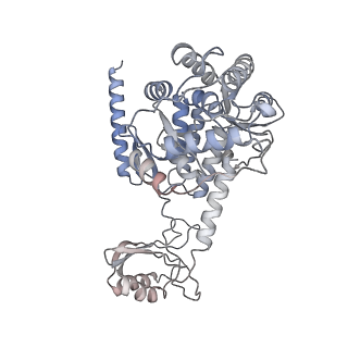 11467_6zvp_A_v1-1
Atomic model of the EM-based structure of the full-length tyrosine hydroxylase in complex with dopamine (residues 40-497) in which the regulatory domain (residues 40-165) has been included only with the backbone atoms
