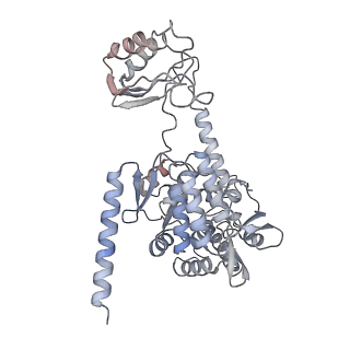 11467_6zvp_C_v1-1
Atomic model of the EM-based structure of the full-length tyrosine hydroxylase in complex with dopamine (residues 40-497) in which the regulatory domain (residues 40-165) has been included only with the backbone atoms