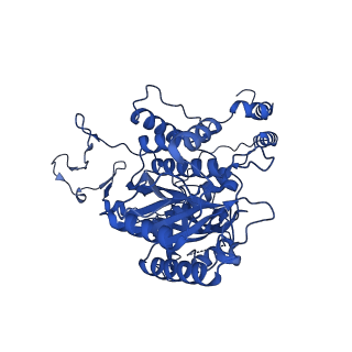 14986_7zvt_A_v1-2
CryoEM structure of Ku heterodimer bound to DNA