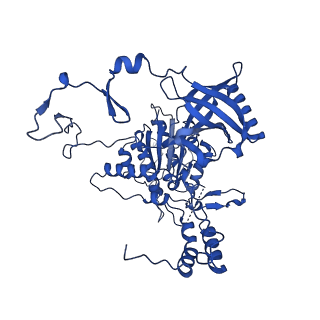 14986_7zvt_B_v1-2
CryoEM structure of Ku heterodimer bound to DNA