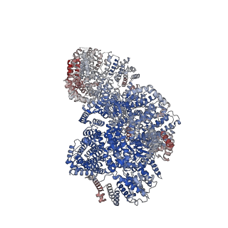 14989_7zvw_A_v1-3
NuA4 Histone Acetyltransferase Complex