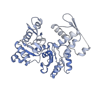 14989_7zvw_B_v1-3
NuA4 Histone Acetyltransferase Complex