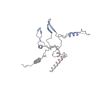 14989_7zvw_C_v1-3
NuA4 Histone Acetyltransferase Complex