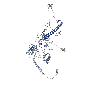 14989_7zvw_E_v1-3
NuA4 Histone Acetyltransferase Complex