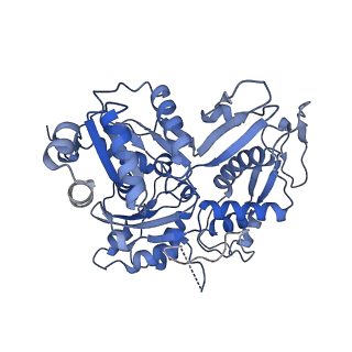 14989_7zvw_G_v1-3
NuA4 Histone Acetyltransferase Complex