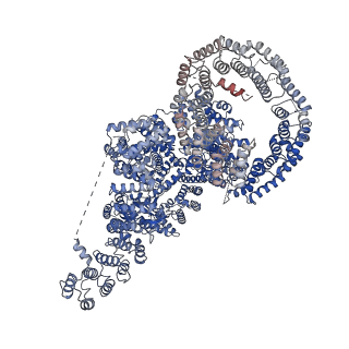 11488_6zwm_A_v1-0
cryo-EM structure of human mTOR complex 2, overall refinement
