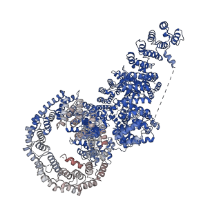 11488_6zwm_B_v1-0
cryo-EM structure of human mTOR complex 2, overall refinement
