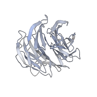 11488_6zwm_C_v1-0
cryo-EM structure of human mTOR complex 2, overall refinement