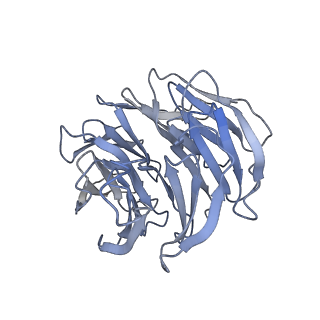 11488_6zwm_D_v1-0
cryo-EM structure of human mTOR complex 2, overall refinement