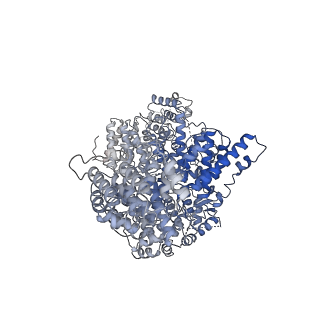 11488_6zwm_E_v1-0
cryo-EM structure of human mTOR complex 2, overall refinement