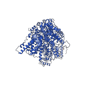 11488_6zwm_F_v1-0
cryo-EM structure of human mTOR complex 2, overall refinement