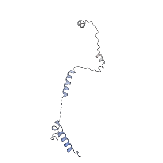 11488_6zwm_G_v1-0
cryo-EM structure of human mTOR complex 2, overall refinement